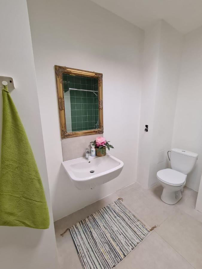 Smart Cat Apartments 리가 외부 사진